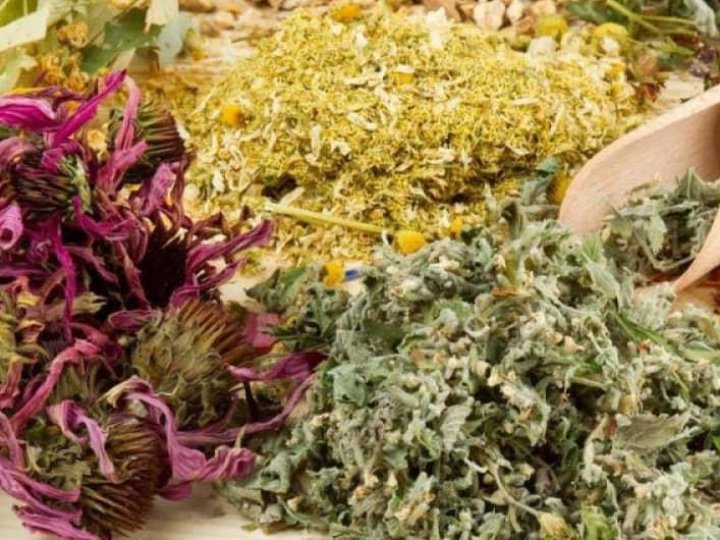 Духовий оркестр з Волині збирає лікувальні трави для виготовлення чаїв воїнам