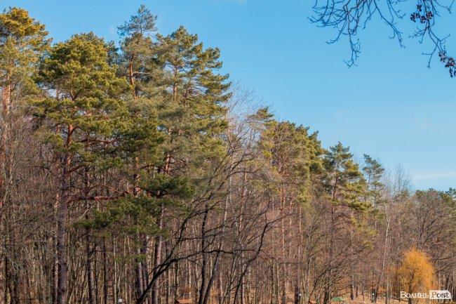 Перший день весни у «волинській Швейцарії». ФОТОРЕПОРТАЖ
