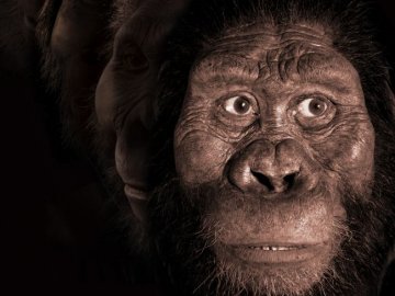 Показали, як виглядала найдавніша людина майже 4 мільйони роки тому. ФОТО