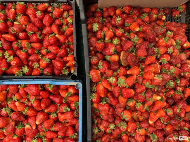 Скільки коштує полуниця на луцькому ринку 