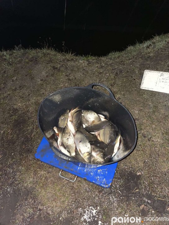 У Любомльському районі рибалки-любителі випустили у озера 1300 кілограмів карася та коропа