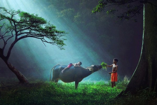 Чарівні світлини дітей з різних країн світу під час гри. ФОТО