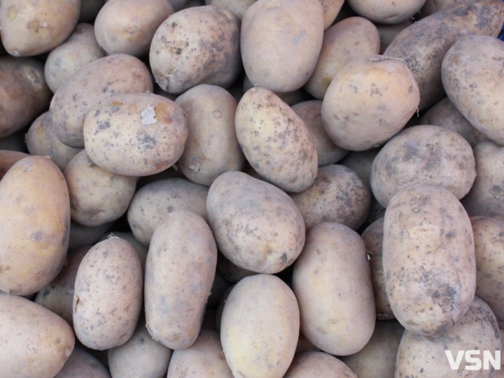 Скільки коштує картопля на ринку у Луцьку: огляд цін