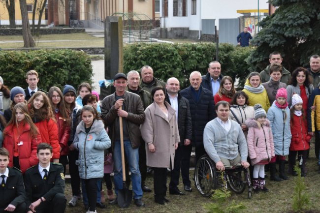 Кожне дерево – як символ Героя: на честь загиблих  волинян висадили алею. ФОТО