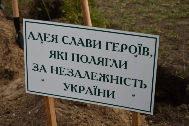 Кожне дерево – як символ Героя: на честь загиблих  волинян висадили алею. ФОТО