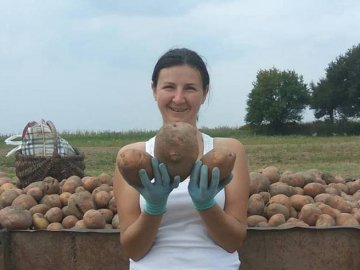 Рекордні картоплини: волинянка показала небувалий урожай. ФОТО