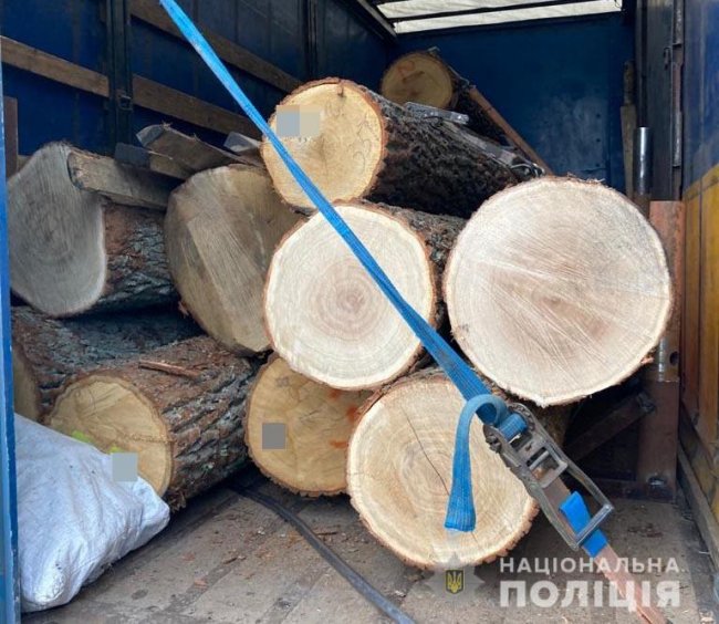 Затримали банду, яка причетна до низки злочинів на території Волині. ФОТО