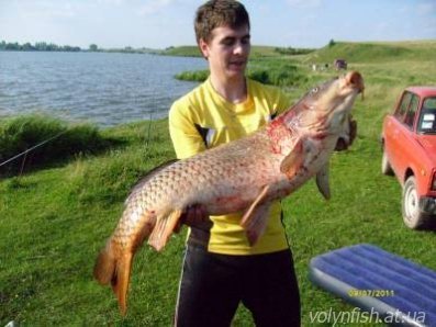 Волинянин упіймав 48-кілограмового сома