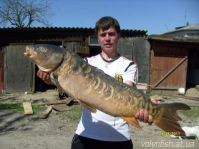 Волинянин упіймав 48-кілограмового сома