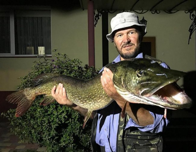 Волинський священик разом із сином упіймав велетенську щуку. ФОТО