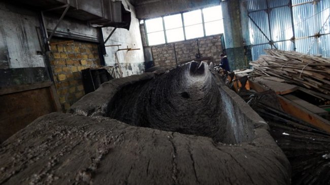 Ціна питання - 1,5 мільйона гривень: на Волині будують приміщення для унікального човна