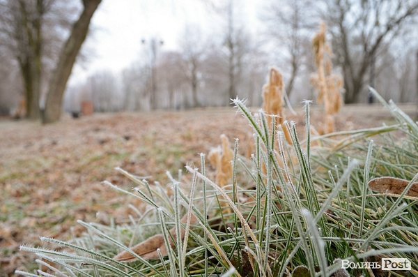 Передноворічний Луцьк убрався в іній. ФОТО