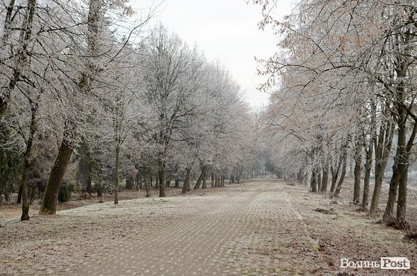 Передноворічний Луцьк убрався в іній. ФОТО