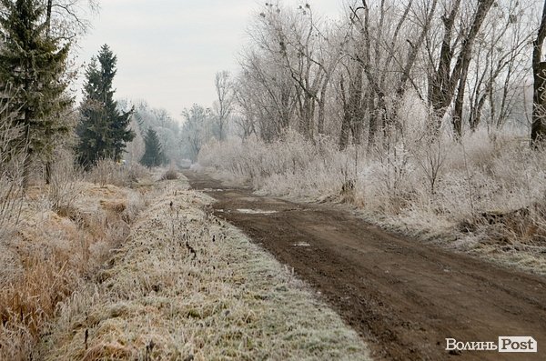 Передноворічний Луцьк убрався в іній. ФОТО