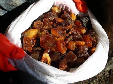 У бурштиновому скандалі засвітився екс-начальник волинської міліції