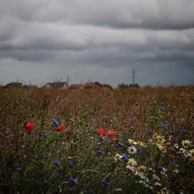 Неймовірні краєвиди природи на знімках волинської волонтерки