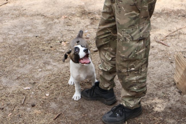 У 100БрТрО Волині служить «донбаський оркодав». ФОТО