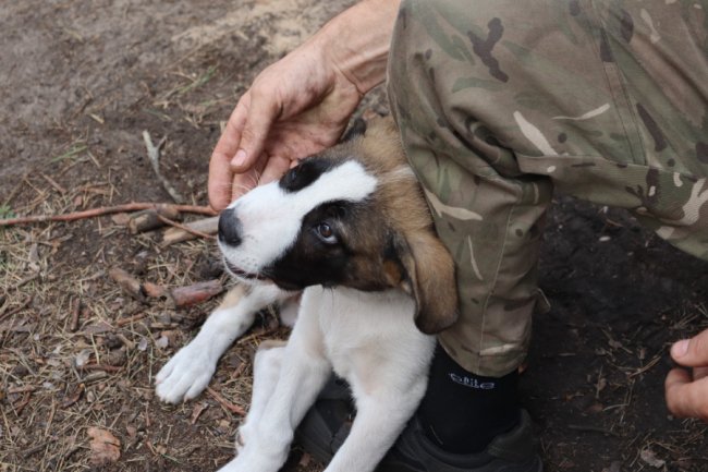 У 100БрТрО Волині служить «донбаський оркодав». ФОТО