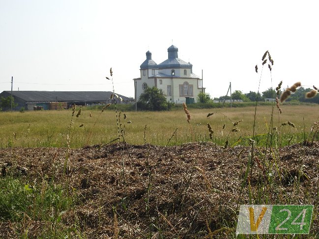 Волинське село засмерділося гнилою капустою. ФОТО
