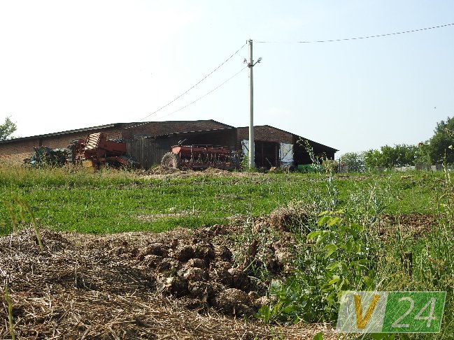 Волинське село засмерділося гнилою капустою. ФОТО