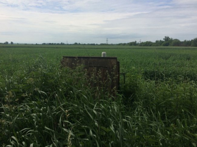 Колись людне село на Волині перетворилось на хутір, де проживає лише дві людини. ФОТО