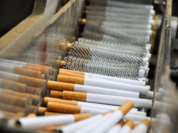 У Польщі ліквідували нелегальні тютюнові фабрики, на яких працювали українці. ФОТО