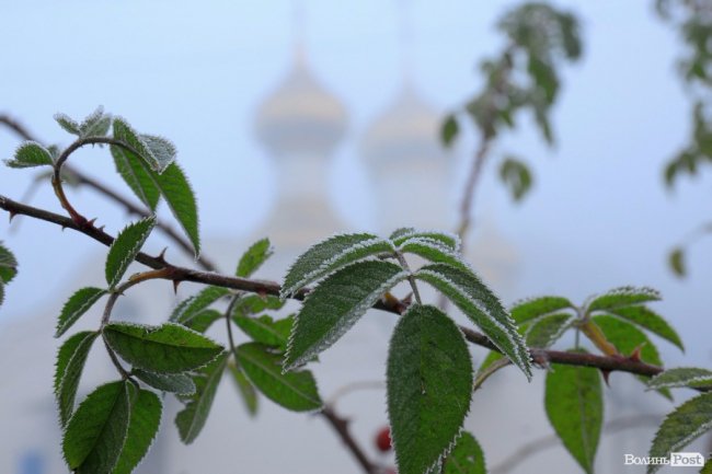 Паморозь і густий туман: чарівний ранок у Луцьку. ФОТО