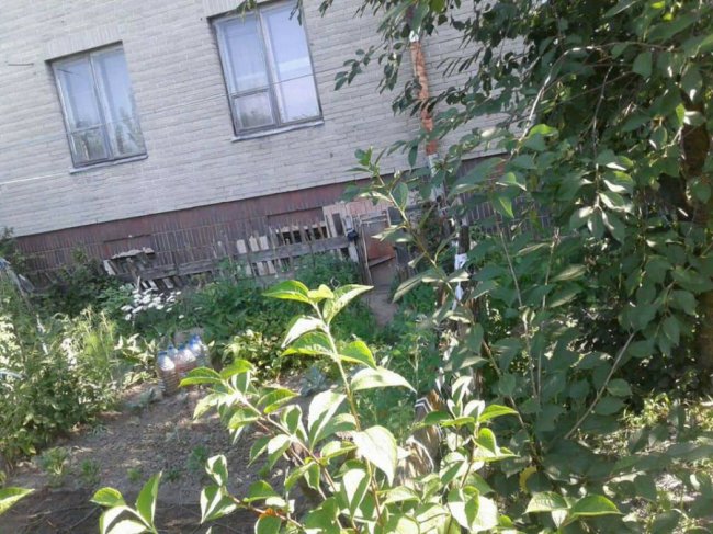 Муніципали продовжуть зносити паркани у Луцьку. ФОТО