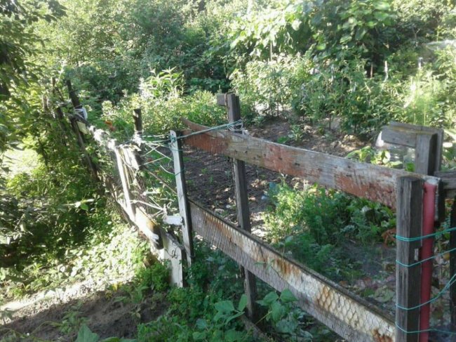 Муніципали продовжуть зносити паркани у Луцьку. ФОТО