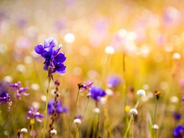  Погода в Луцьку та Волинській області на 5 липня