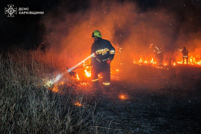 Через пожежу сухостою мало не згоріло село під Харковом
