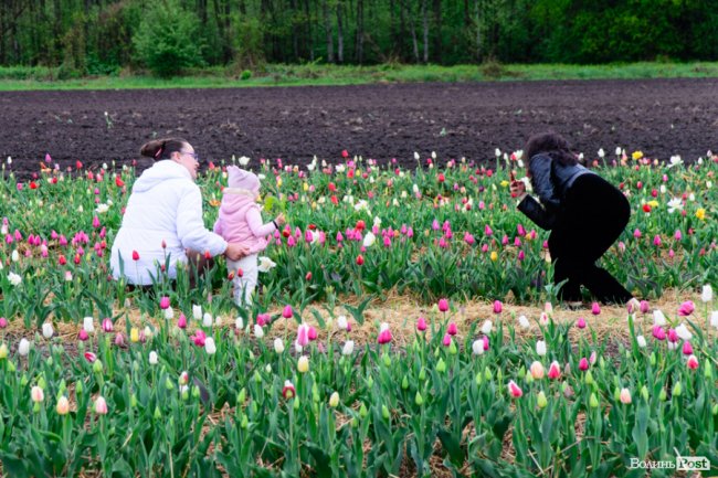 Попри негоду «Волинська Голландія» гостинно зустрічає гостей. ФОТО
