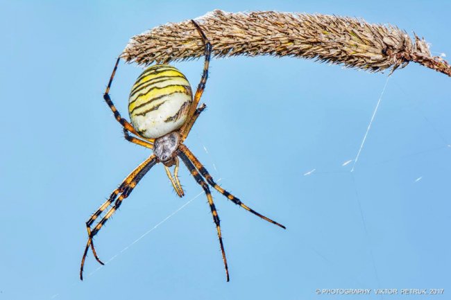 Останній день літа на світлинах луцького фотографа