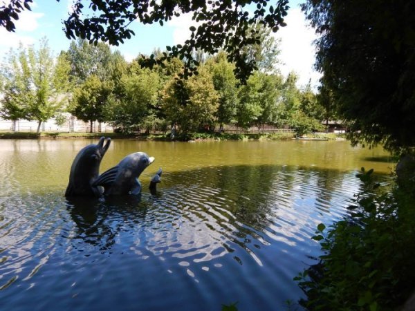 Луцький зоопарк шукає старі фото