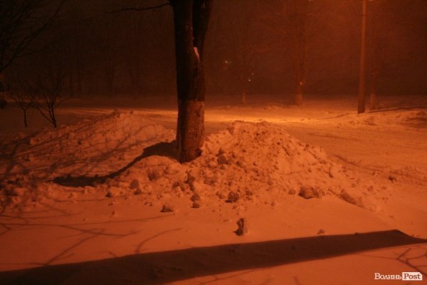 У Луцьку хуртовина ламає дерева і паралізує автотранспорт. ФОТО