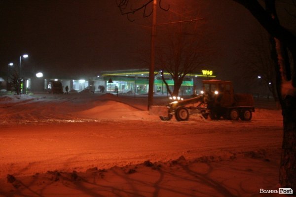 У Луцьку хуртовина ламає дерева і паралізує автотранспорт. ФОТО