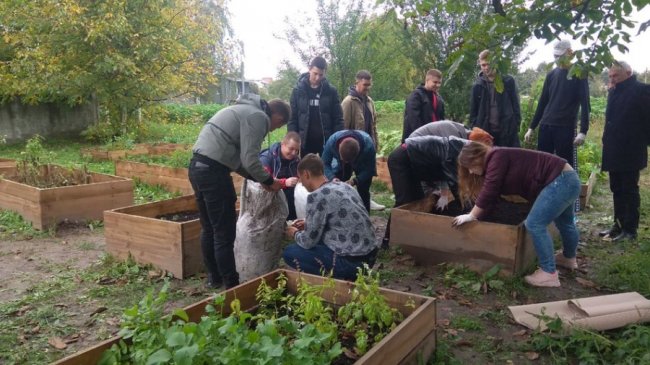 У Луцьку на міському городі  висадили ягідні кущі. ФОТО. ВІДЕО