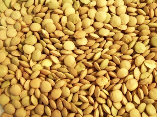 Найдивніші новорічні традиції  у світі. ФОТО