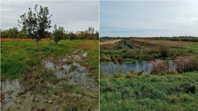 У двох районах на Волині через зливи підтопило понад 5 тисяч угідь і господарств