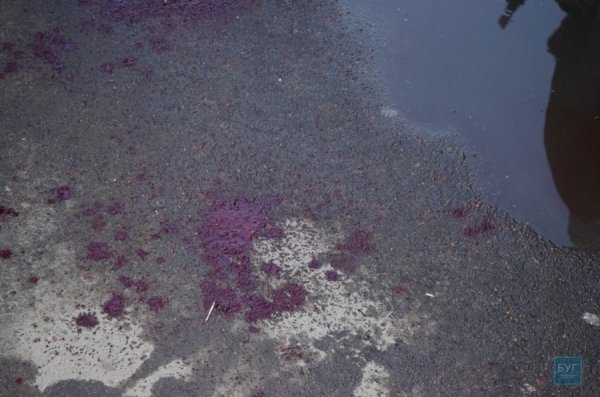 На Волині п'яний водій врізався у припарковане авто, в якому була мала дитина. ФОТО