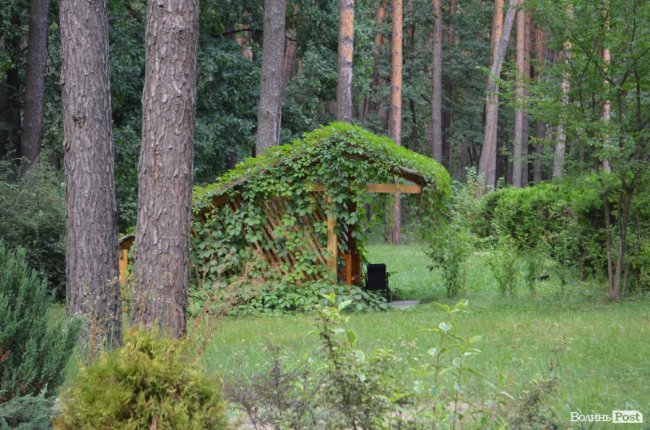 Кращий волинський санаторій: як у сосновому лісі «цвіте» «Пролісок». ФОТО