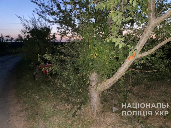 На Волині дві восьмикласниці потрапили у ДТП на квадроциклі: водійка з'їхала  у кювет та врізалась  у дерево