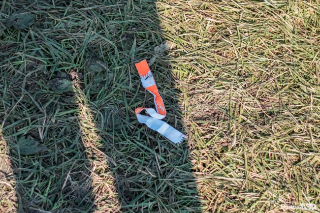 Ранок після фестивалю «Бандерштат». ФОТО