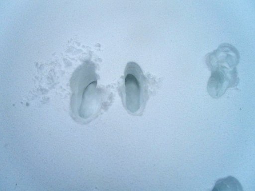 Львів (фото зі спільноти Львів у мережі Вконтакті)