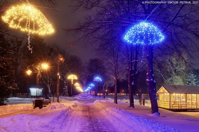 Зимова казка: опублікували неймовірні світлини вечірнього парку Луцька. ФОТО