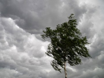 Комусь – вигулювати купальники, а комусь – рятуватись від грози: погода на вихідні в Україні