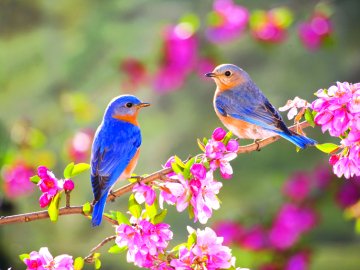 19 березня – яке сьогодні свято та що не можна робити в цей день