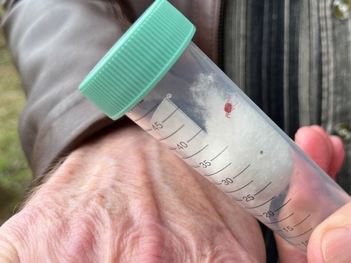 На Волині зафіксували третій цього року випадок вірусного енцефаліту