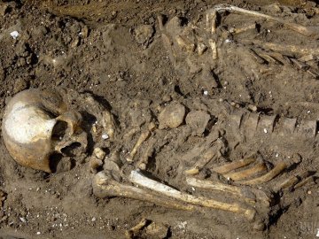 На Волині знайшли масове захоронення німецьких солдат. ВІДЕО