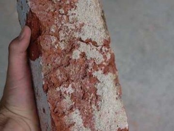 У Львові під час сварки зять вбив цеглиною тещу